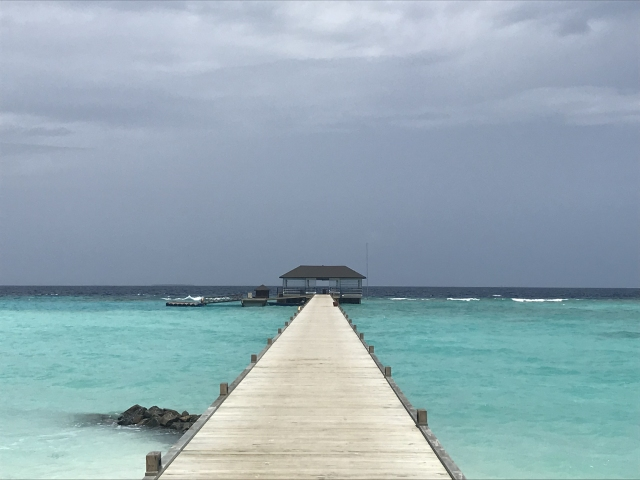 格瑞德曼研磨仪14