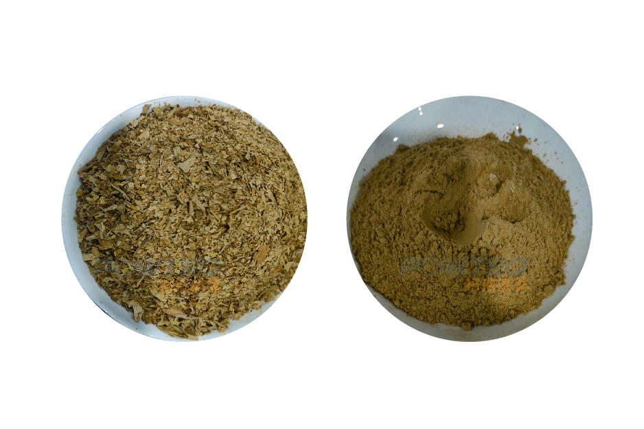 烟叶前后对比照_画板 1