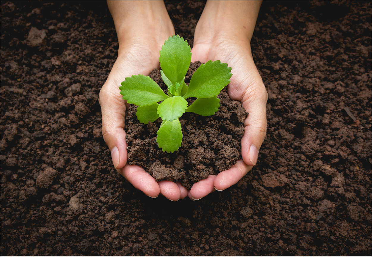 解决方案应用图-02